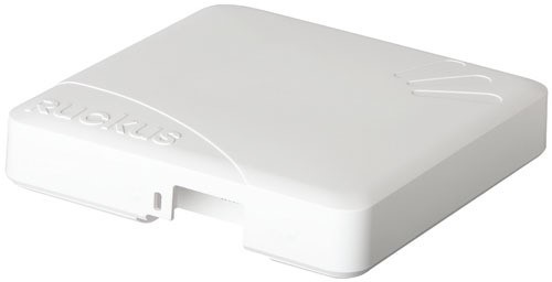 AP ZoneFlex R500